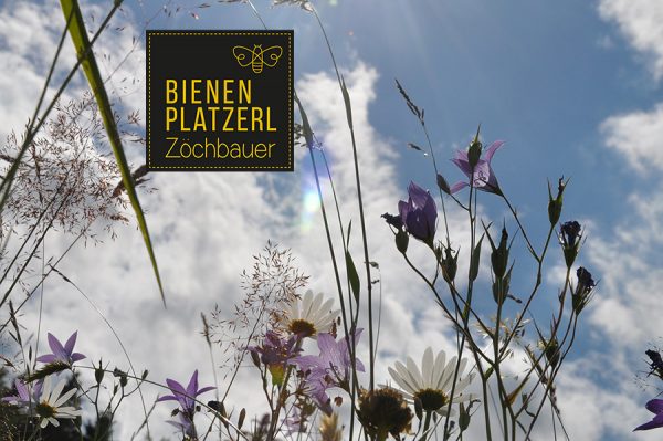 Zurück zur Natur mit neuen Namen