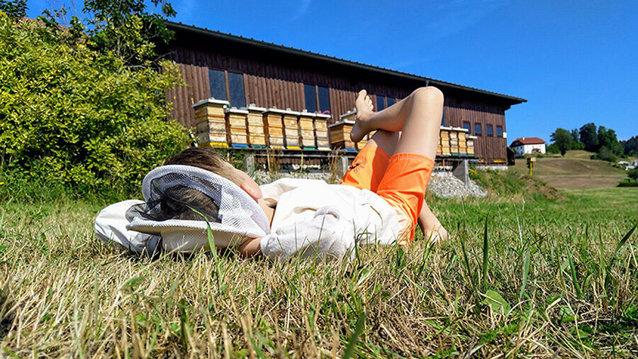 Urlaub am Bienenplatzerl