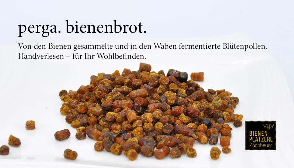 perga.webp