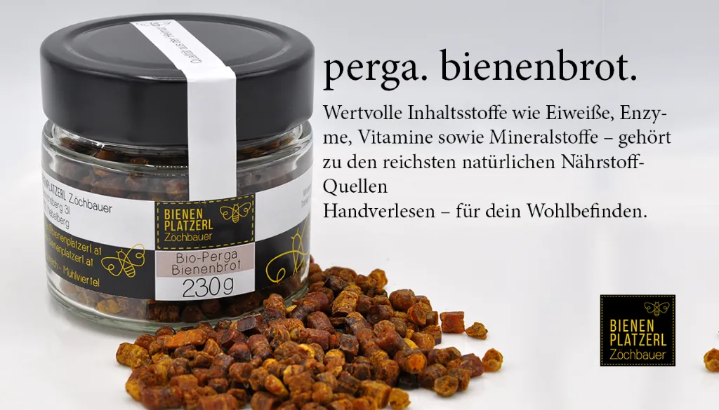 perga-1.webp