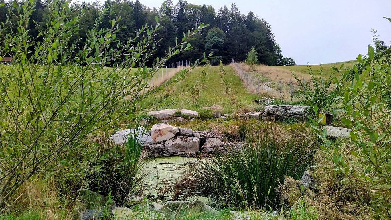 Stillwasserfläche