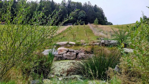 Stillwasserfläche